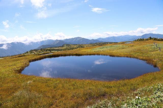 山頂湿原の池塘