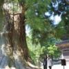パワースポットのひとつ、筑波山神社 