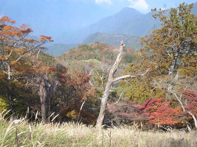 紅葉する蛭ヶ岳 