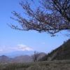 晴天の蛭ヶ岳から富士山を望む 