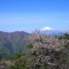 富士山を望む山頂からの展望　