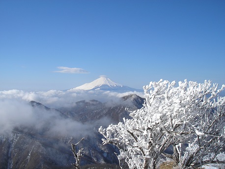 富士山と霧氷(2015.02.06　蛭ヶ岳山荘 )