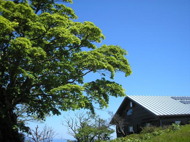 緑豊かな北丹沢 山荘の様子