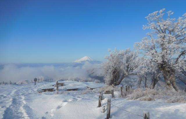 霧氷で真っ白の山頂から富士山を臨む