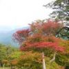 山頂付近はナナカマドの実、シロヤシオの葉など赤く染まり、秋は深まりつつあります
