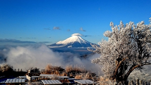 白い富士山もこの時期の見所