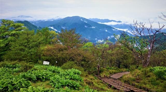 初夏の趣一杯の蛭ヶ岳山荘へ是非お越し下さい。