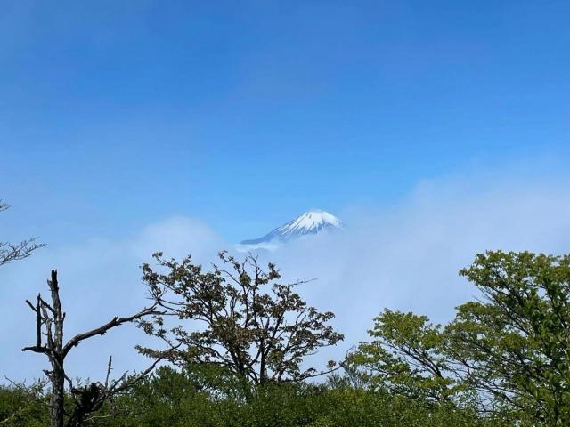 蛭ヶ岳山荘 
