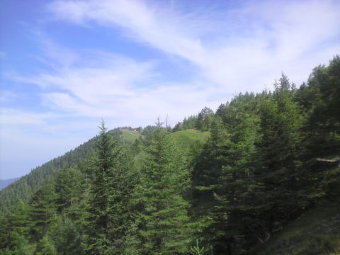 夏の雲取。中央よりちょっと左に見えるのが山頂の避難小屋 