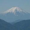 ６月中旬頃、尾根から富士山を見ると中心近くの残雪が鳥の型に見えます。 