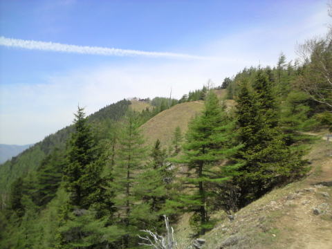 5月下旬の鴨沢コース山頂までの景色