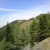 5月下旬の鴨沢コース山頂までの景色