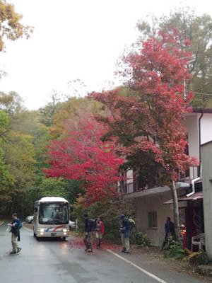 山荘も紅葉に包まれています。