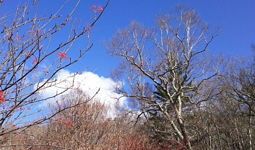 山荘から見る青空は素晴らしい景色。テラスから瑞牆山の山頂が見えそうなので、季節はもう冬のようです