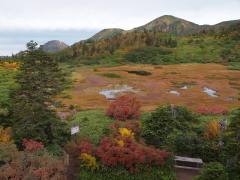 高谷池と火打山 紅葉の色づきが目に見えて進みました　 