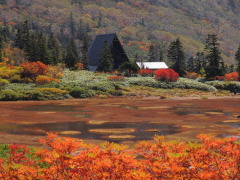 連休中に、今年の紅葉のピークを迎えた高谷池湿原とヒュッテ 