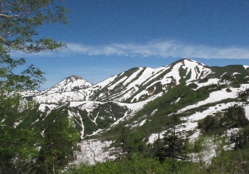 黒沢岳トラバースからの火打山方面。雪が融け、新緑が上がってきました