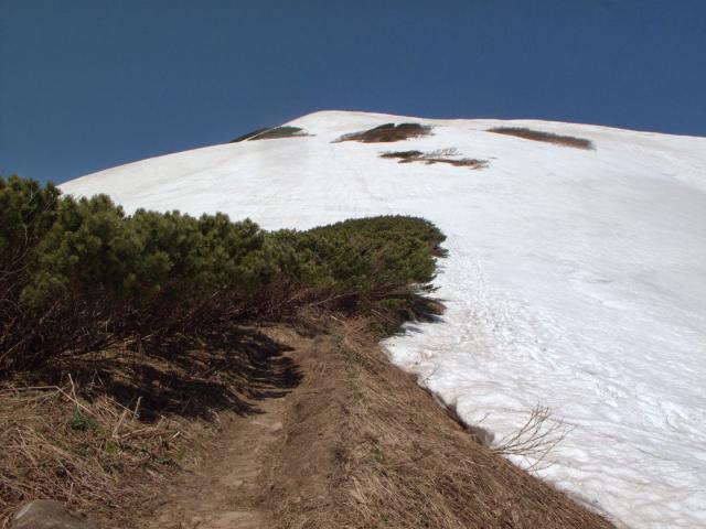 山頂直下最後登り足を滑らさないように注意　特に下りは慎重に