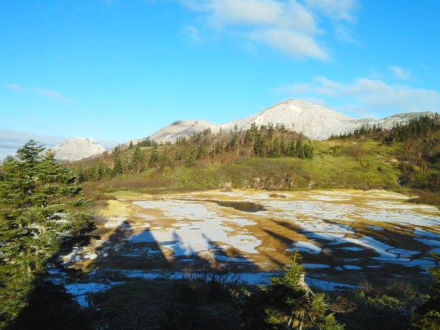 7時30分現在気温-3℃。高谷池も凍っています。昨日、若干の雪が降り火打山もまた白くなりました。青空に白が綺麗です。