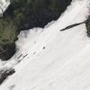 高谷池〜妙高山に行く途中、大倉乗越からの画像の続き、カモシカがトラバース中。カモシカでも慎重にトラバースしています。人間はアイゼンピッケル⛏が必要です