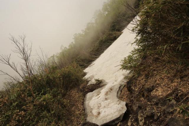 黒沢池から来たらこの雪渓を下ります。簡単に行けそうと感じますが斜度30度ほどあると思います。大倉乗越はまだアイゼン、ピッケル⛏が必要！雪は硬いです！滑落の危険あり！