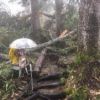 台風19号の影響で登山道上に、沢山の木が倒れています。これを片付けるには、少し時間がかかりそうです。
