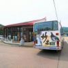 火打山登山口笹ヶ峰高原直行バスは7月10日(土)から運行中。ライチョウのラッピングは平日のみの運行のようです