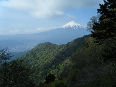 三ッ峠から望む富士山 