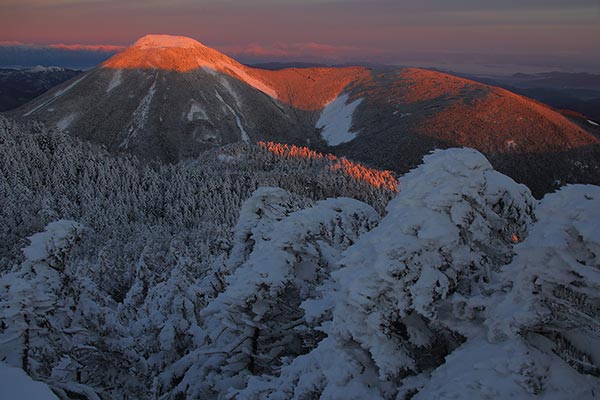 樹氷と朝陽に染まる蓼科山