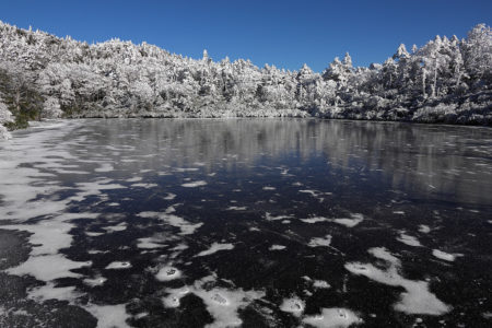 冬景色の七ツ池