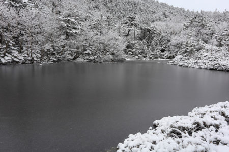 雪景色の七ッ池(2022.10.25　北横岳ヒュッテ)