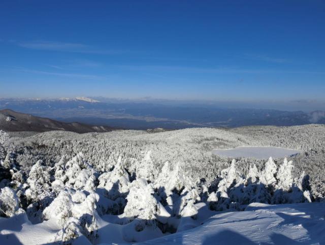 冬の白駒池と雪をまとった森　高見石より