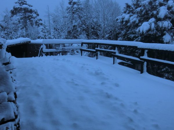 昨日の夕方から雪が降り始め、今朝起きたら３０センチほど積もっていました。