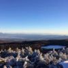 高見石から見た白駒池　凍結して白くて丸い雪原になっています。