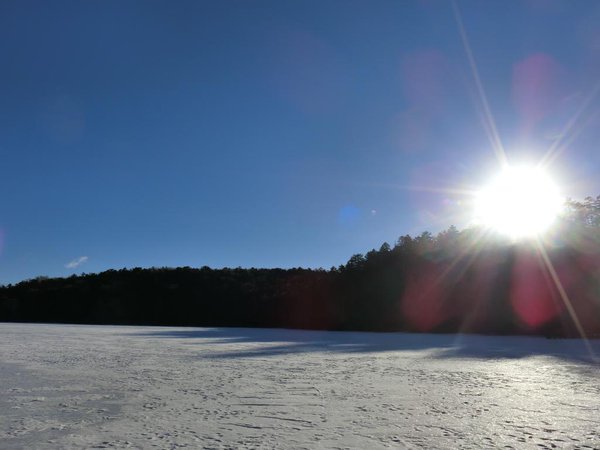 白駒池の氷の厚さは例年に比べ、かなり薄く15cmほどです。