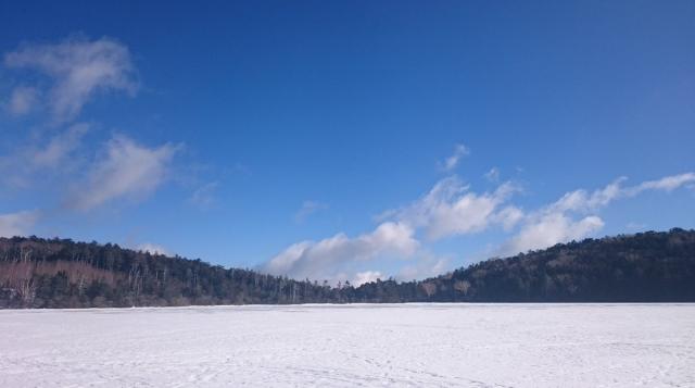 今朝の気温-13℃　白駒池は全面凍結しています。