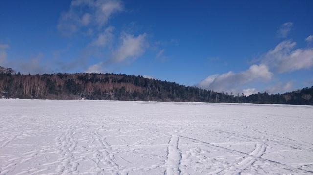 凍った池の上を歩くことができます。