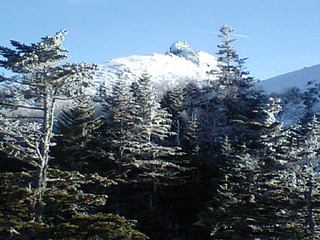 東天狗岳を臨む。雪がついてキレイ 