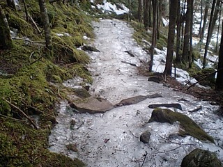 登山口付近根雪が出ています。唐沢と渋の湯の分岐から上は軽い徒渉の場所があります。ご注意ください 