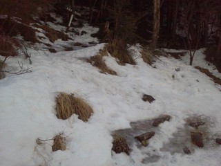 登山道は凍結注意です 