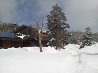 本日の山荘周辺の様子。小雪が舞っています 
