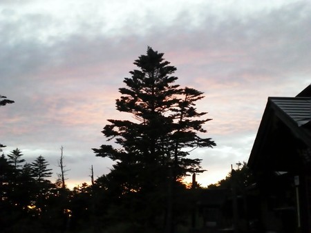 この写真よりきれいな夕焼けでした。 