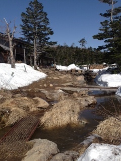 5/12の雨で融雪し、翌日登山道では、川の増水箇所がありました。