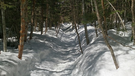 渋ノ湯からの樹林帯には、まだ積雪たっぷりあり。
トレースもしっかりあります。