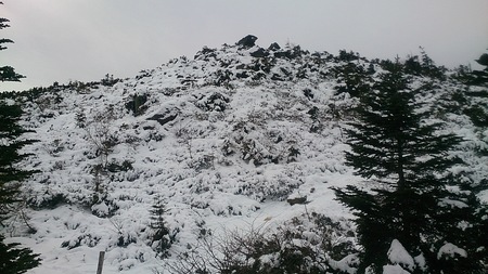 小屋前のガマ岩も雪なし
