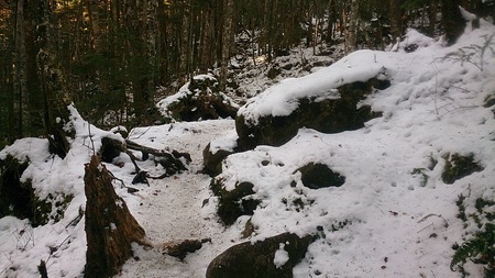 渋ノ湯からのルートも雪がなく、踏み固められてガチガチです。