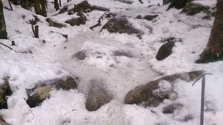 登山口に近い所は根雪がでてます。