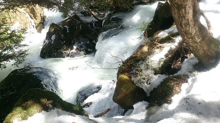 氷った川の上を水が流れています。