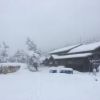 雪が降り出した小屋前の様子