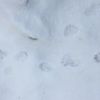 雪の中の生き物の気配　足跡